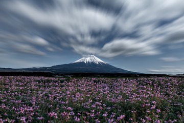 4C262D36-93A6-4928-923D-F5A711853BD6/L0/001