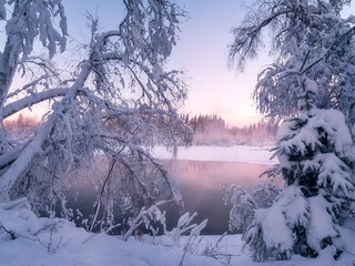 8EFF0A65-E899-4C06-A5B9-254E1AD6DB24/L0/001