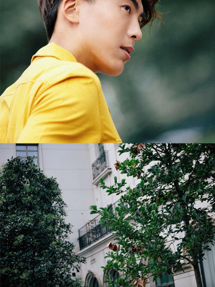 港仔文艺男青年