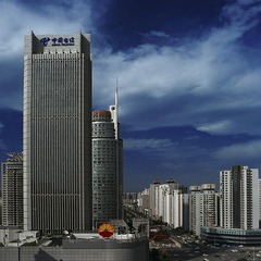 _8140508