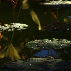 _9221499