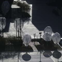 _SAM0424