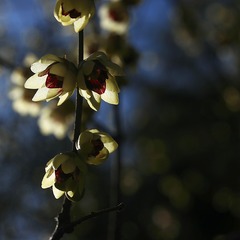 _SAM0601