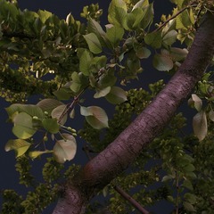 _SAM0030