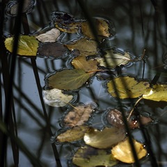 _SAM0094
