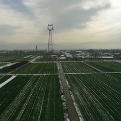 _SAM1425