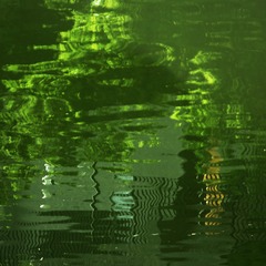 _SAM0022