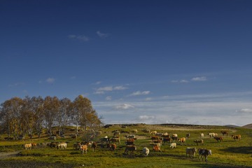 _kDSC1701
