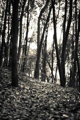 _AIM3929_1