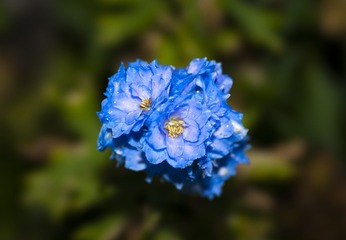 _DSC4100