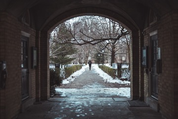 _DSC8740-2