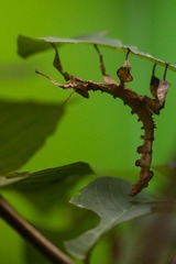IMG_4054.jpg
