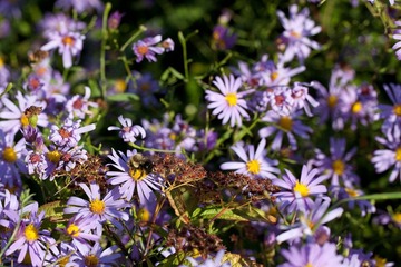 IMG_4057.jpg