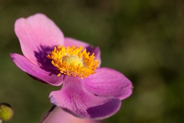 IMG_4058.jpg