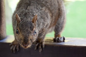 IMG_4075.jpg