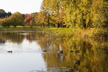 IMG_4100.jpg