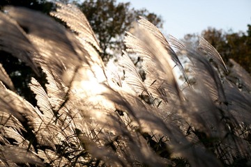 IMG_4105.jpg