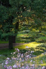 IMG_4118.jpg