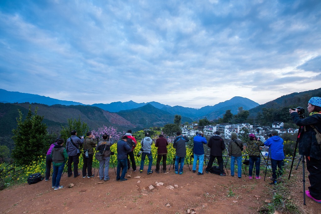 2015年3月25日,婺源查平坦,众人摄影师在这个号称“天山人家”的婺源山村拍摄油菜花。