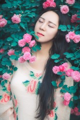 蔷薇