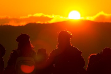 _DSC8794