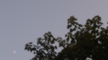1517052