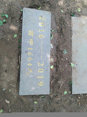 1123627