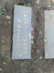 1123627