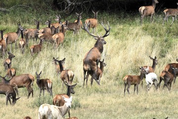 IMG_2172-240