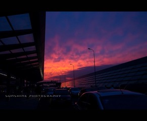 DSC04378.jpg