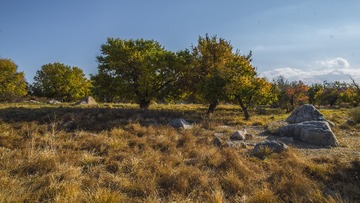 _AYC9728