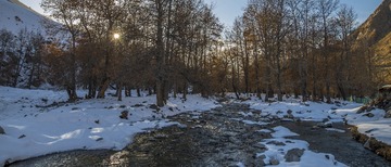 _AYC0077