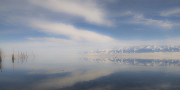 _AYC0226