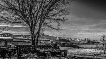 _AYC0713