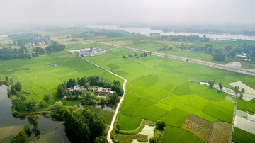 DJI_0228-1