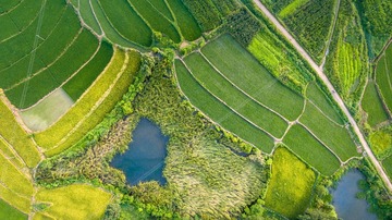 DJI_0235-1-2