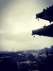 1301223