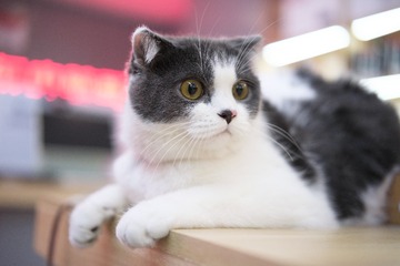 DSCF0225