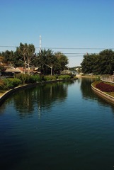 DSC_1677.JPG