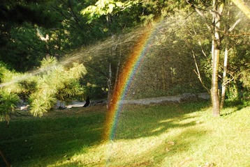DSC_1893.JPG
