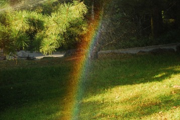 DSC_1904.JPG