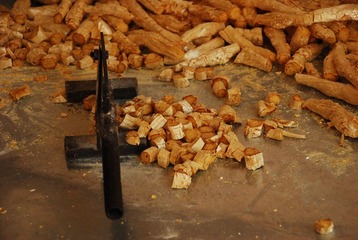 DSC_1809.JPG