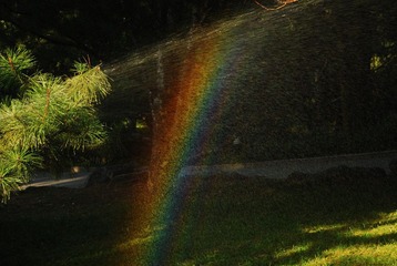 DSC_1879.JPG