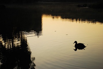 DSC_2093.JPG