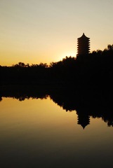 DSC_2126.JPG