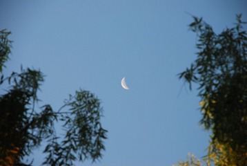 DSC_2154.JPG