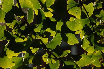 DSC_2316.JPG