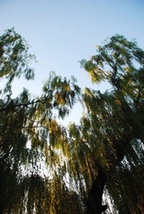 DSC_2157.JPG