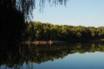 DSC_2335.JPG