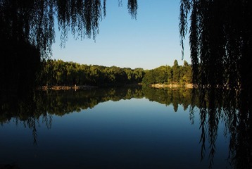 DSC_2337.JPG